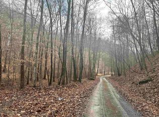 0 Blue Lick Rd, Branchland, WV 25506