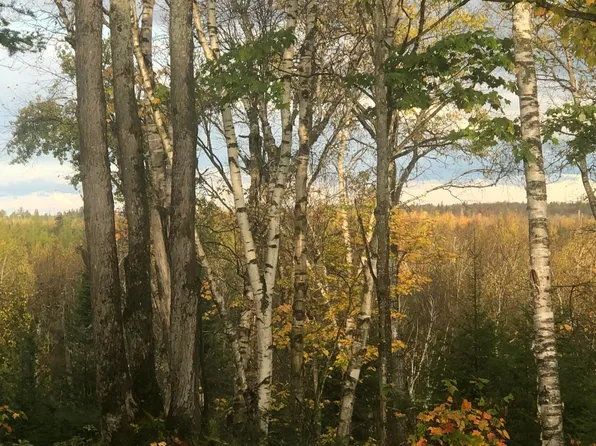 LOT 13 W Cedar Dr, Sault Sainte Marie, MI 49783