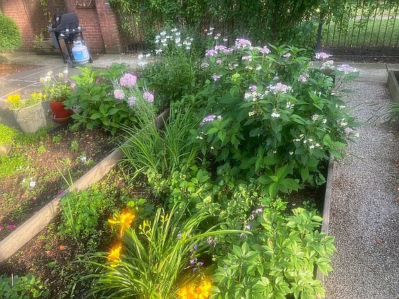 Beautiful Gardens 