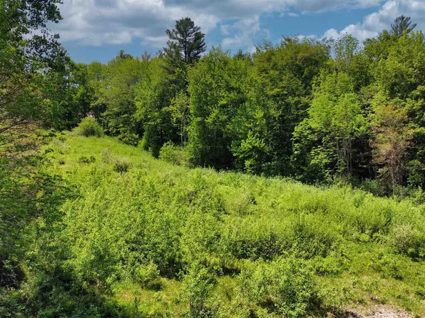 00 Four Corners Road, Springfield, NH 03284