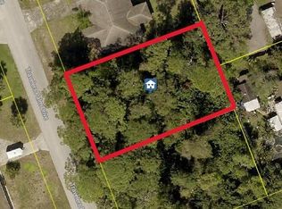 1927 Travelers Palm Dr LOT 3875, Edgewater, FL 32141