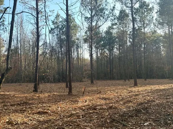 County Road 3182, Joaquin, TX 75954