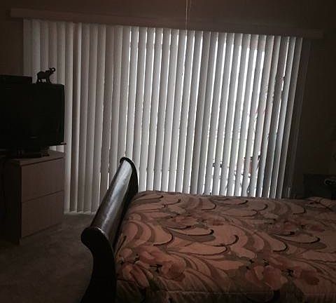 5th image of 1858 S Dove Tail Dr