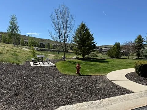 Outdoor Dog Park Amenity