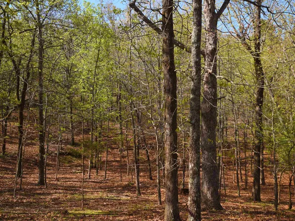 E Bluff Dr, Quitman, AR 72131