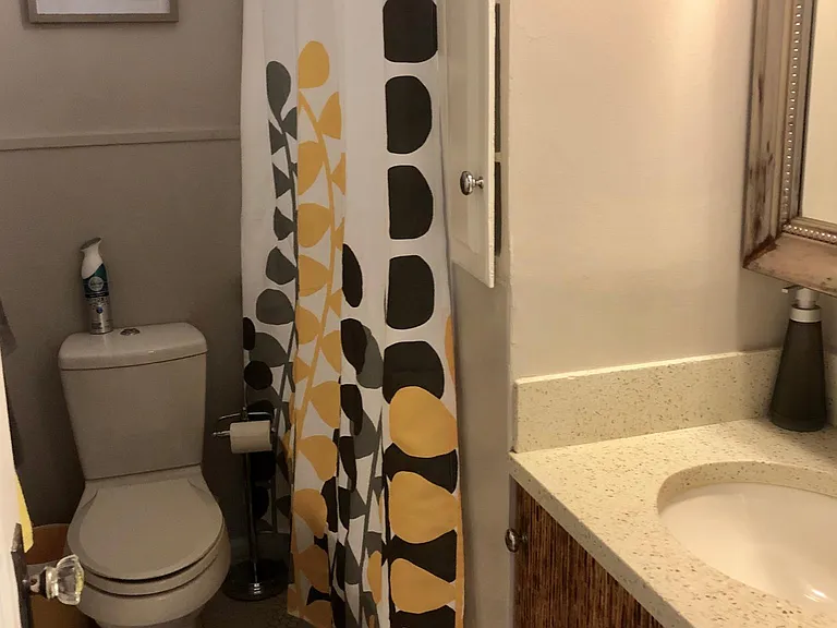 805 Whitaker St #2 — Photo 8