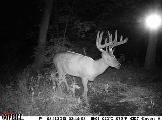 1125 Dog Creek Rd, Morgantown, KY 42261