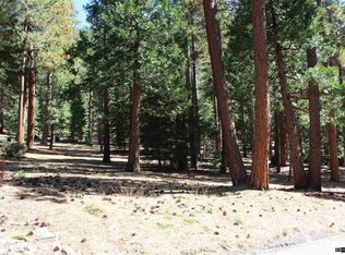 2133 The Back Rd, Glenbrook, NV 89413