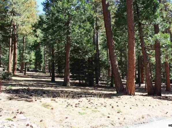 2133 The Back Rd, Glenbrook, NV 89413