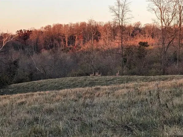 19 Beech Rd, Bethel, OH 45106