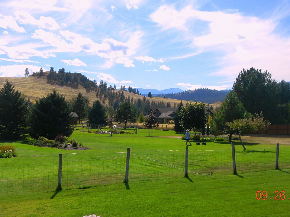 Backyard View Gazing SW