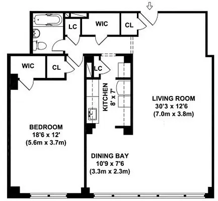 Rented by Manhattan Apartment Organization | media 3