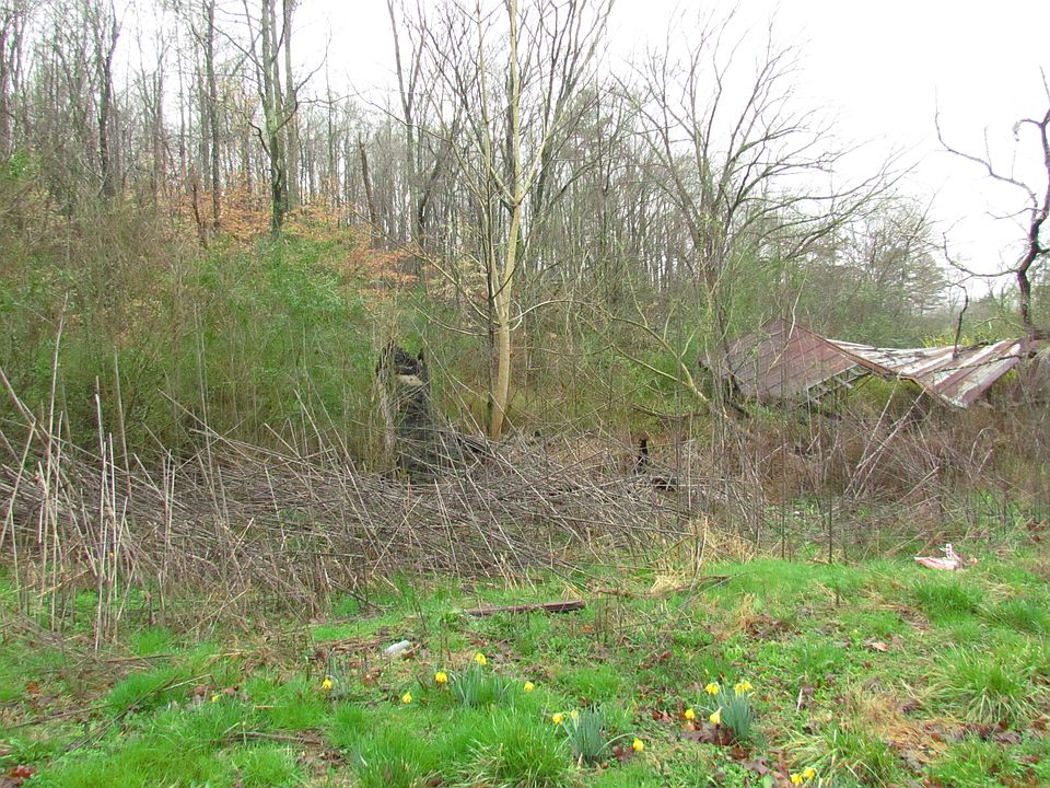 2nd image of 736 Eagle Furnace Rd