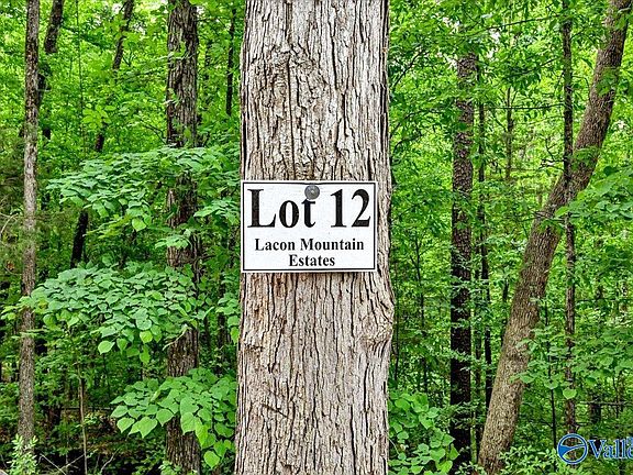 3rd image of LOT 12 Mill Creek Rd