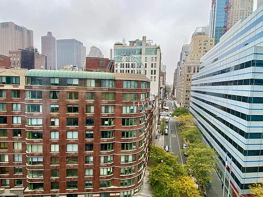 Rented by NY Living Solutions | media 9