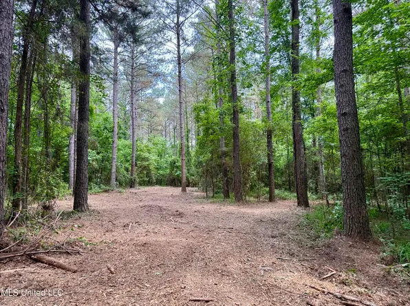 Stephens Rd, Durant, MS 39063
