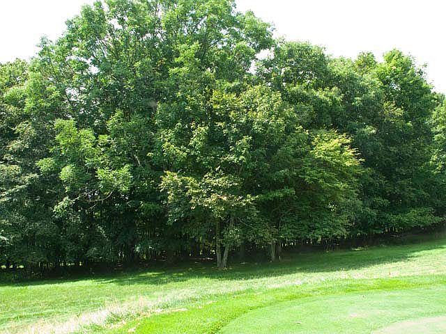 2nd image of 206 Pine Ridge Rd