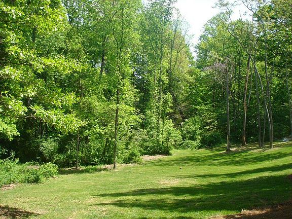 Park like back yard with mature trees and total privacy