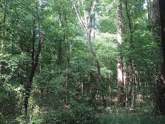 5th image of 22 Asbury Dr Lot 22
