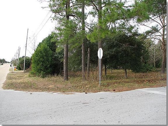 5th image of 243 Rose Ln