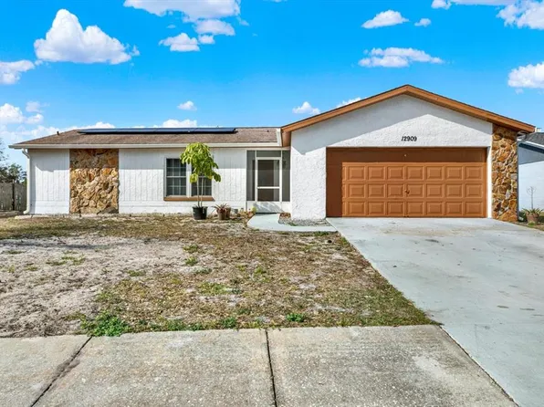 12909 Tallowood Ct, Riverview, FL 33579