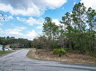 32 Speceberry Cir, Homosassa, FL 34446