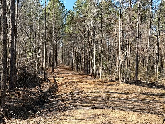 25080fb7 154f 4fab B26d 33f9a55adbcc