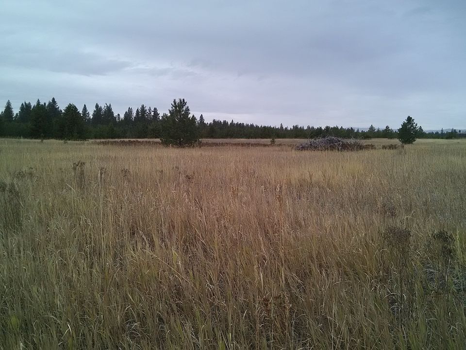 2nd image of 40119 N Lionello Ln