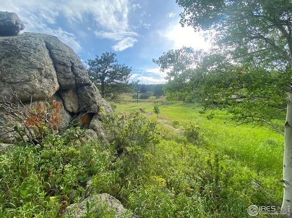 24 Hickok Trl, Ward, CO 80481