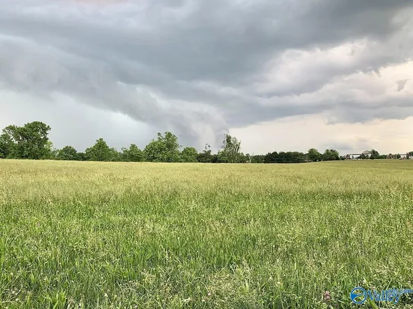 LOT 2 Ardmore Hwy, Ardmore, TN 38449