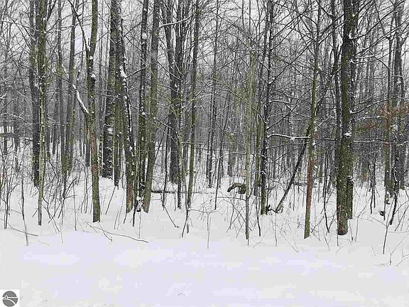 4th image of Pineview Drive