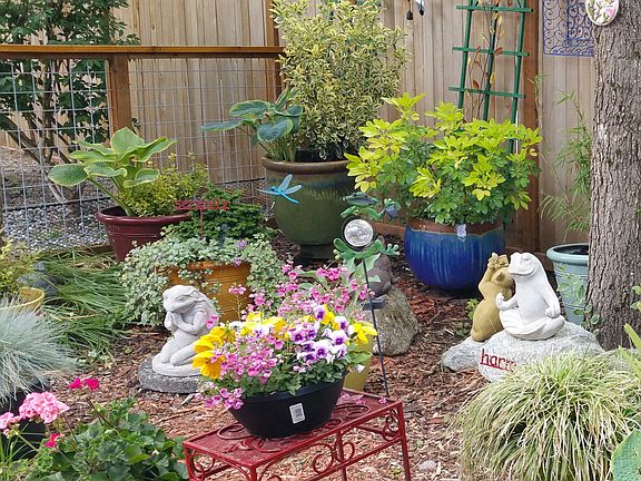Container garden