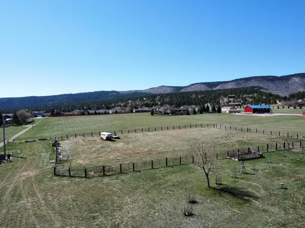 10989 Little Elk Creek Rd, Piedmont, SD 57769