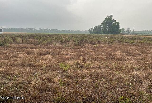 2nd image of Tr 2 Piney Woods Road