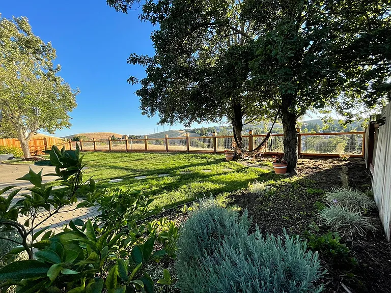 111 Pine Valley Ct — Photo 33