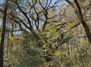 LOT 3 Old Military Rd, Adams Run, SC 29426