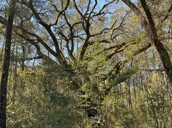 LOT 2 Old Military Rd, Adams Run, SC 29426