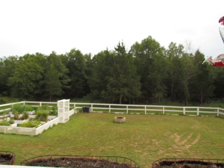 23794 Raspberry Ln — Photo 49
