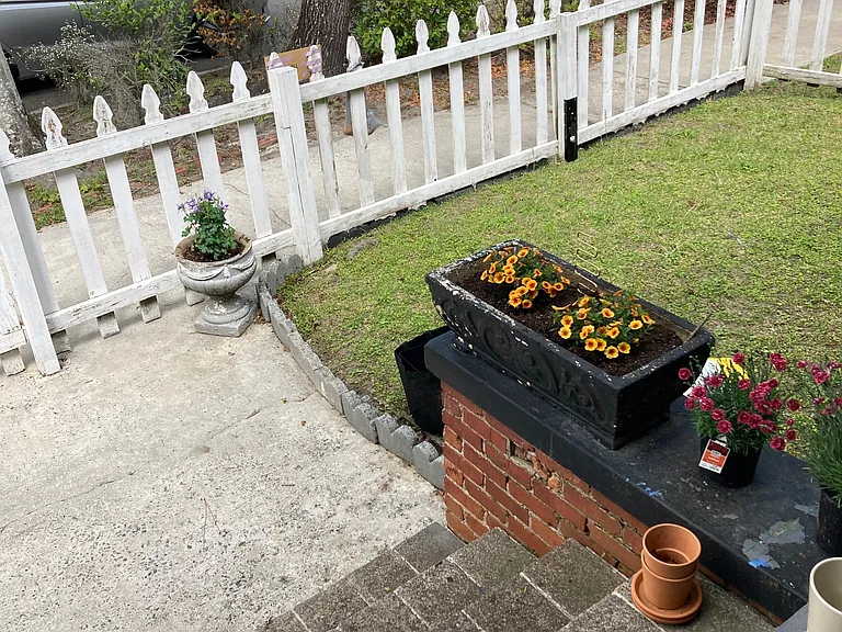 Front yard
