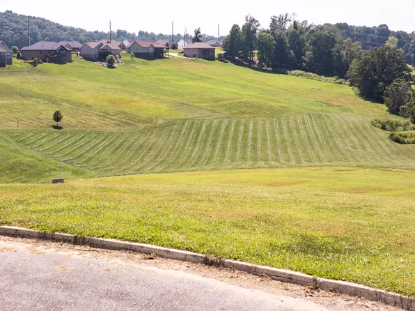 1300 Little Shadden Way, Johnson City, TN 37615