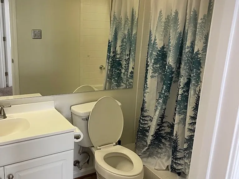 879 Rivanna River Reach — Photo 14