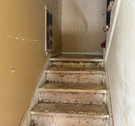 4th image of 3908 Blanchard St
