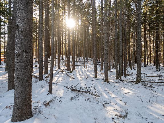 4th image of 25 Long Pond Road