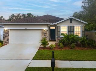 11892 Frost Aster Dr, Riverview, FL 33579