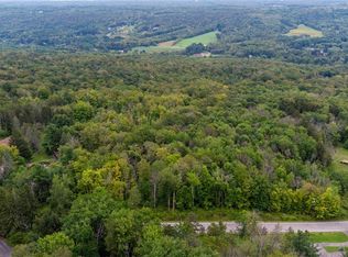 0 Lower East Hl LOT 14, Boston, NY 14025