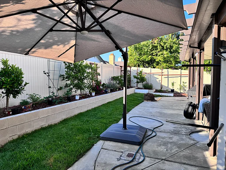 23501 White Dove Dr — Photo 36