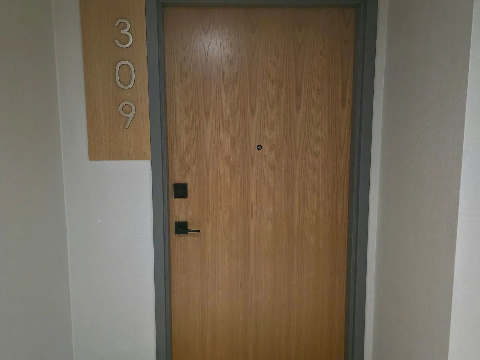 2 bed, $1,650 — Photo 2