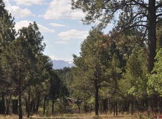 28 Gopher Ct, Ridgway, CO 81432