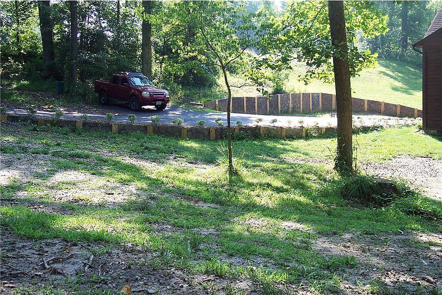 Driveway and front yard