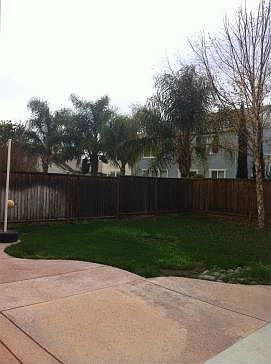 Spacious Backyard